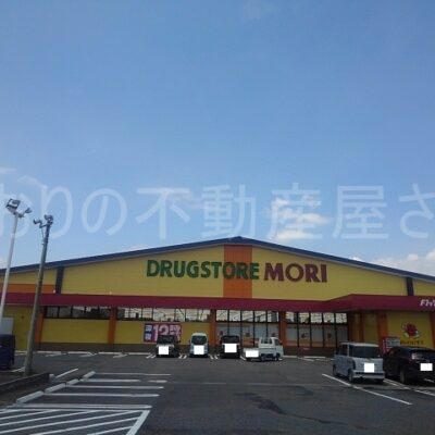 ドラッグストアモリ高鍋店(周辺)