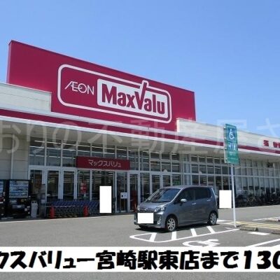 マックスバリュー宮崎駅東店(周辺)