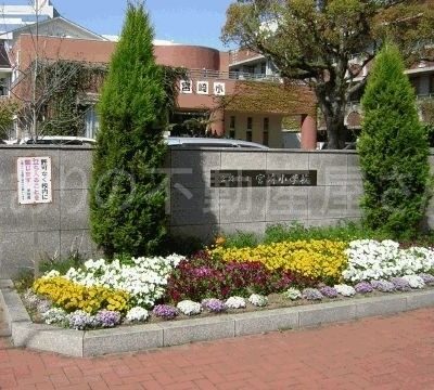 宮崎市立宮崎小学校(周辺)